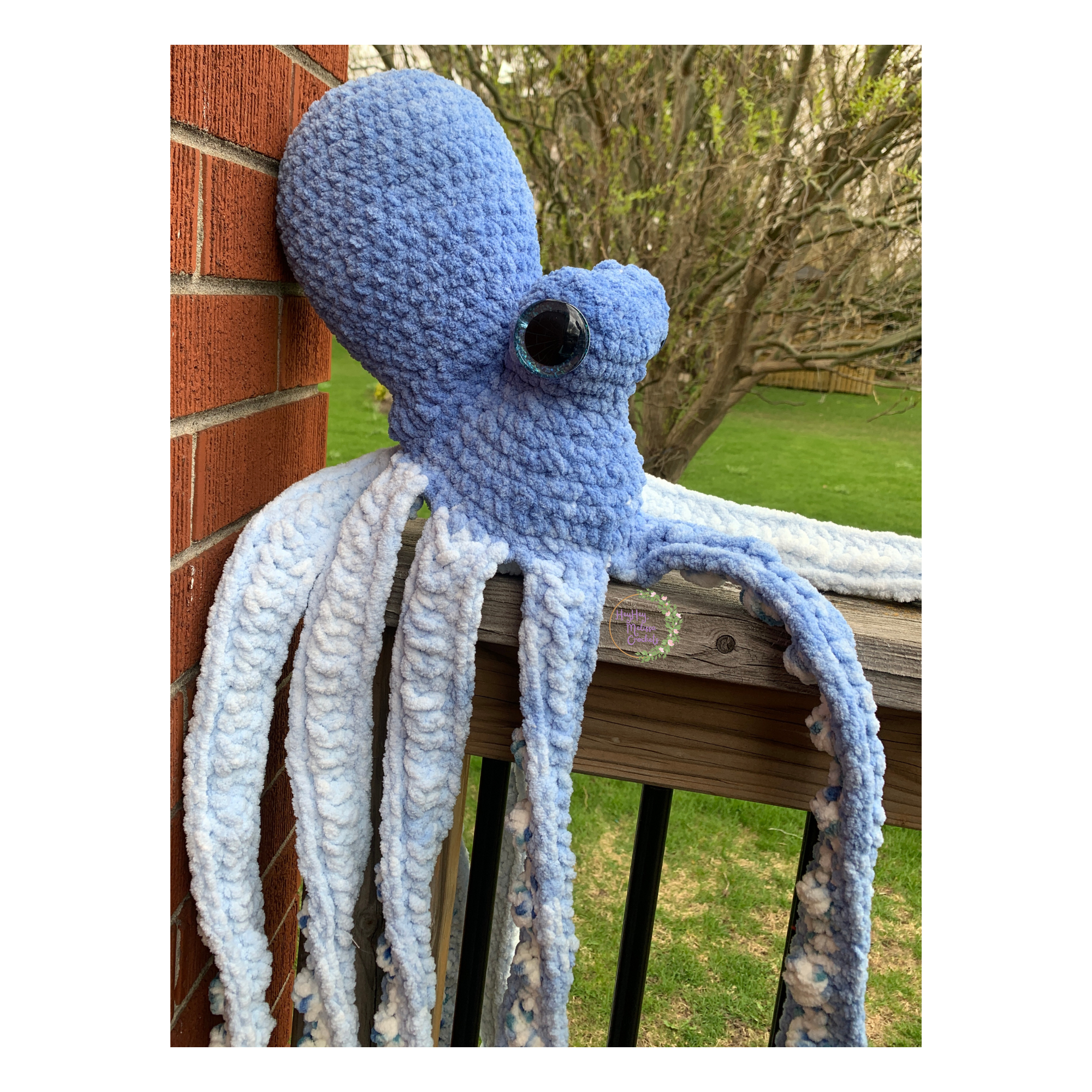 Anchor the Octopus 🐙